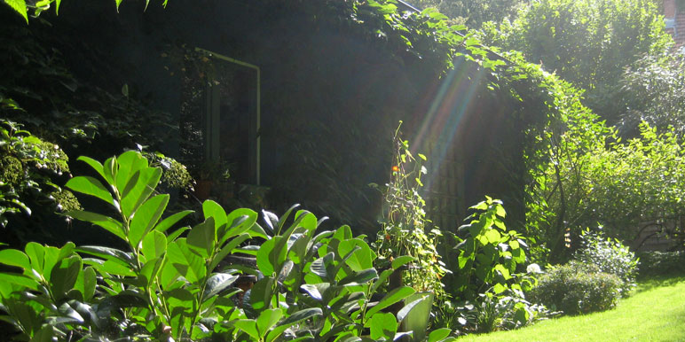 Rückseite Blaues Haus im Sonnenlicht