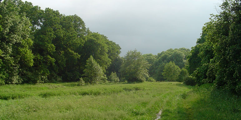 Naturschutzgebiet Kindelfließ