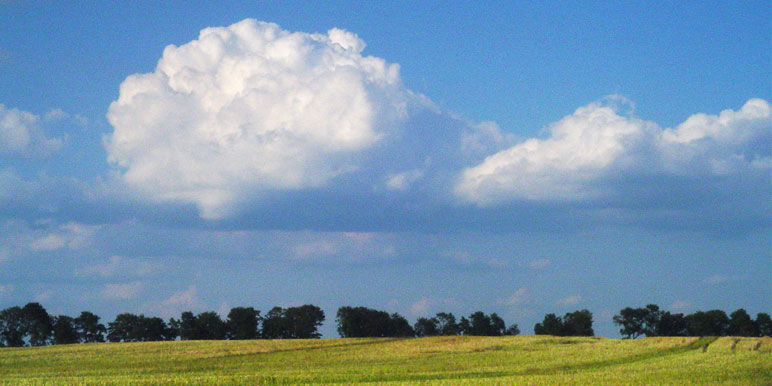 Feld und Wolkenhimmel